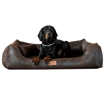 ALBERTO ORTHO Orthopädisches Hundebett mit Velours Vintage braun 80 cm, 22 cm, 60 cm Ein schwarz-brauner Hund, der auf einem plüschigen, braunen Haustierbett mit lederähnlicher Textur entspannt, mit einem kleinen Holzschild, das "terlanda" liest.