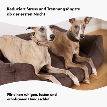 Zwei Greyhounds, die auf braunen Hundebetten ruhen, mit Text, der Stressabbau und erholsamen Schlaf für Hunde fördert.