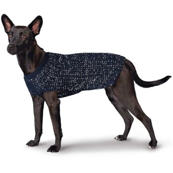 Ein schwarzer Hund, der einen gestrickten marineblauen Pullover mit weißen Sprenkeln trägt, steht vor einem weißen Hintergrund.