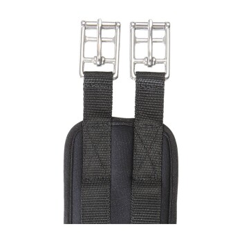 Nahaufnahme eines schwarzen Haustiergeschirrs mit zwei Metall-Schnallen und stabilen Riemen, entworfen für sicheren Halt.