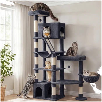 Grau mehrstufiger Kratzbaum mit Sisalstämmen, Höhle, Hängematte und hängendem Spielzeug, sechs Katzen, die in einem hellen Raum faulenzen und spielen.