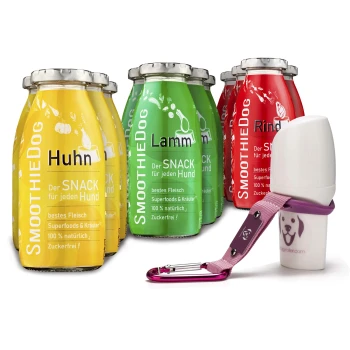 Vier bunte Flaschen von SmoothieDog Snacks für Hunde mit den Bezeichnungen "Huhn", "Lamm" und "Rind", neben einem weißen Haustierroller mit einem rosa Riemen.