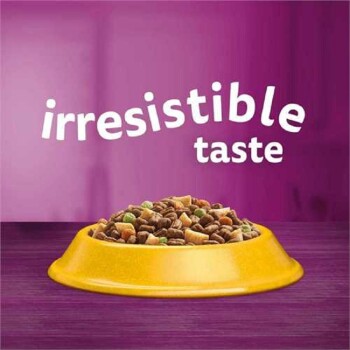 A yellow pet food bowl filled with kibble, with the text "irresistible taste" in white above it, set against a purple background.