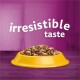 A yellow pet food bowl filled with kibble, with the text "irresistible taste" in white above it, set against a purple background.