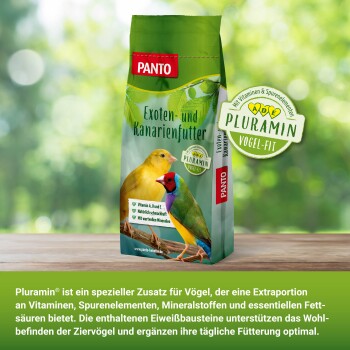 PANTO Exoten- und Kanarienfutter Beutel mit einem gelben Kanarienvogel und einem bunten Fink, mit Text, der Vitamine und Mineralien hervorhebt.