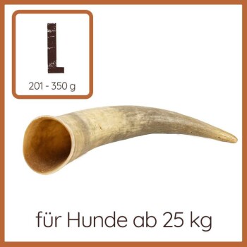 Großer Hundekauhorn, geeignet für Hunde über 25 kg, mit einem Gewicht von 201-350 g.