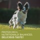 Adult Small Breed 2x6 kg