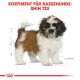 Illustration eines Shih Tzu-Welpen mit braunem und weißem Fell, mit der Aufschrift "SORTIMENT FÜR RASSEHUNDE: SHIH TZU" oben.