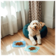Ein flauschiger, hellfarbener Hund sitzt auf einem Holzboden neben einem türkisfarbenen Hundebett, mit zwei blauen Fressmatten, die Hundefutter halten.