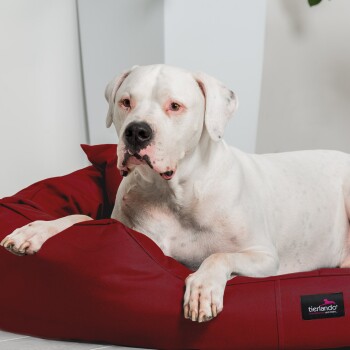Ein weißer Hund mit Flecken entspannt sich auf einem plüschigen roten Hundebett, das ein schwarzes Etikett mit der Aufschrift "tierlando" trägt.