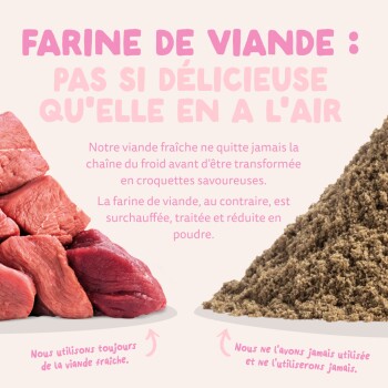 Viande crue (à gauche) et poudre de viande transformée (à droite) sous le titre français « FARINE DE VIANDE ».