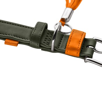 Nahaufnahme eines olivgrünen Lederhalsbands mit orangefarbenen Akzenten, Metall-Schnalle und D-Ring; orangefarbener Anhänger mit der Aufschrift „HUNTER“.