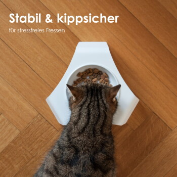 Eine getigerte Katze frisst aus einer modernen erhöhten Futterschüssel auf einem Holzboden, mit dem Text darunter: "Erhöhtes Fressen rücken schonend & weniger Schlingen."