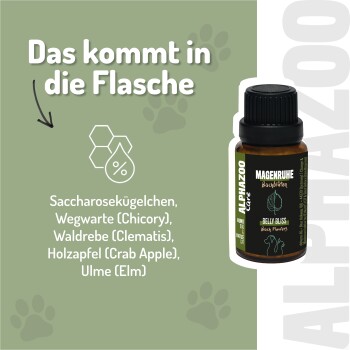 Zwei Hunde liegen auf einer grün grasähnlichen Oberfläche, mit dem Text "MAGENRUHE" und einer Beschreibung über empfindliche Verdauung und Unterstützung für Haustiere.