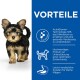 Ein süßer Yorkie-Welpe steht vor einem weißen Hintergrund neben einem blauen Abschnitt, der die Vorteile von Hundefutter wie ActivBiome+ und hochwertiges Protein hervorhebt.