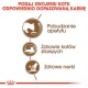 Infografika promująca korzyści z karmy dla kotów: pobudza apetyt, wspiera zdrowie starszych kotów i promuje zdrowie nerek, z ikonami kotów i misek.