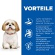 Ein glücklicher Shih Tzu sitzt neben einem blauen Panel mit Vorteilen: einfache Verdauung, ausgewogene Mineralien und Omega-6 mit Vitamin E für gesunde Haut.