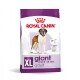 SHN Giant Adult 15 kg