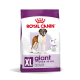 Royal Canin XL Giant Hundefutterbeutel für erwachsene Hunde über 45 kg, mit einer Abbildung eines Bernhardiners und Ansprüchen auf gesunde Gelenke und Vitalitätsunterstützung.