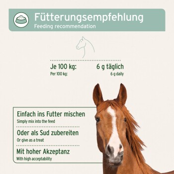Bild eines Pferdekopfes mit Fütterungsempfehlungen in Deutsch und Englisch, die 6g täglich pro 100kg angeben, mit Anweisungen zum Mischen oder Behandeln.