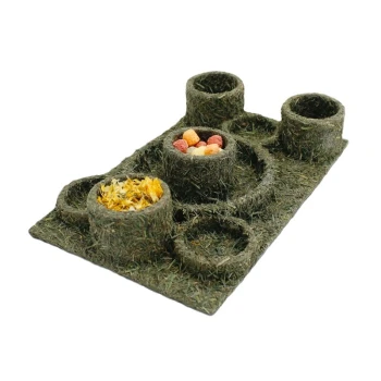 Eine strukturierte grüne Futtermatte für Haustiere mit drei Schüsseln, eine gefüllt mit bunten Pellets, eine andere mit getrockneten Blumen und eine dritte leer.