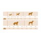 Fütterungsleitfaden für Hunde, der die empfohlenen täglichen Futtermengen basierend auf dem Gewicht des Hundes zeigt, von 2,5 kg bis 80 kg.