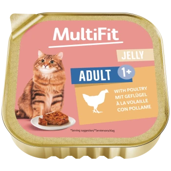 MultiFit Katzenfutter‑Schale (gold) mit orangegetigerter Katze, Teller mit Geflügelgelee, Aufschriften „JELLY“ und „ADULT 1+“