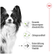Ein schwarz-weißer Papillon-Hund mit großen Ohren, neben Symbolen und Text zu Gesundheitsvorteilen: "Immunsupport," "Zahngesundheit," "Lebenslange Vitalität."