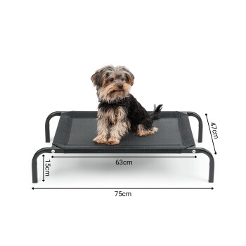 Ein kleiner Hund sitzt auf einem schwarzen erhöhten Hundebett, mit den Abmessungen: 75 cm Länge, 63 cm Breite und 15 cm Höhe.