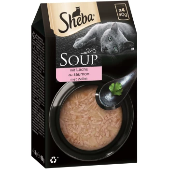 Soup 40x40g Lachs