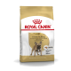 Royal Canin Adult French Bulldog Hundefutterbeutel mit einer Illustration eines Französischen Bulldogs, mit Text, der rassespezifische Ernährung hervorhebt.