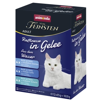 Packung Animonda 'Vom Feinsten' Adult-Katzenfutter, 'Raffinesse in Gelee – Aus dem Wasser', mit Bild einer weißen Katze.