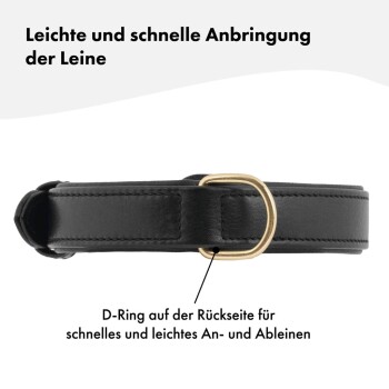 Hundehalsband Plain Noir S