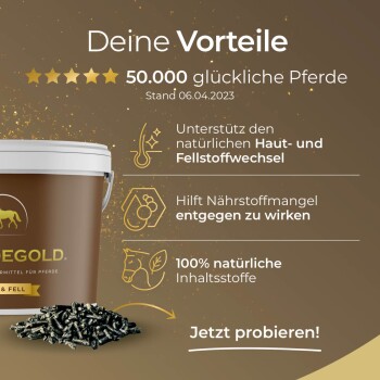 Werbebild für das "Pferdegold" Pferdeergänzungsmittel: brauner Eimer, schwarze Pellets, aufgelistete Vorteile, Sternebewertung und "50.000 glückliche Pferde."