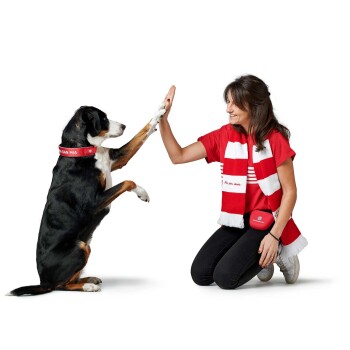 Ein Hund mit einem roten Halsband macht ein High-Five mit einer Person in einem roten Shirt und Schal, beide lächeln.