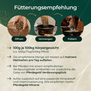 Plakat mit dem Titel 'Fütterungsempfehlung', zeigt drei Fotos mit den Beschriftungen 'Öffnen', 'Vermengen', 'Füttern'; Text '100 g je 100 kg Körpergewicht'; nennt 'Pferdegold Verdauungsglück' und 'Pferdegold Mineral'.