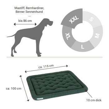 Hundebettmaße mit einer großen Hundesilhouette; geeignet für Rassen wie Mastiff. Bettgröße: 115 cm x 100 cm, Dicke: 10 cm.