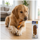 Golden Retriever kaut an einem gedrehten Kauknochen auf einem Holzboden neben einer Produktverpackung mit der Aufschrift 'PREMIERE' und 'Chew Snack'.