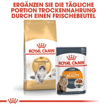 Royal Canin Verpackung, die 'Norwegian Forest Cat' Trockenfutter und 'Intense Beauty' Nassfutter zeigt, die ihre ergänzende Verwendung fördert.