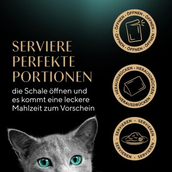 Nahaufnahme des Gesichts einer grauen Katze mit grünen Augen, mit dem Text: "Serviere perfekte Portionen" und Anweisungen zum Öffnen des Futterbehälters.