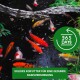 Bunte Koi-Fische schwimmen in einem dunklen Teich, mit einem grünen Kreis, der '365 TAGE' anzeigt, und einem Text darunter in Deutsch, der hochwertiges Koi-Futter für die Grundversorgung bewirbt.