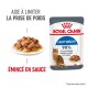 Pochette de nourriture pour chat Royal Canin Light Weight avec une assiette de nourriture hachée dans une sauce, le texte met en avant les avantages de la gestion du poids.