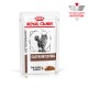 Royal Canin Veterinär Gastrointestinal Katzenfutterbeutel mit einer getigerten Katze, beschriftet "Dünne Scheiben in Soße" und "Veterinärernährung."