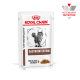 Royal Canin Veterinär Gastrointestinal Katzenfutterbeutel mit einer getigerten Katze, beschriftet "Dünne Scheiben in Soße" und "Veterinärernährung."