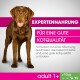 Brązowy Labrador retriever dumnie stoi obok tekstu o formule błonnikowej dla optymalnej jakości stolca.
