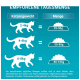 Infografik, die die empfohlenen täglichen Fütterungsmengen für Katzen basierend auf dem Gewicht zeigt: 2-4kg = 25-50g, 4-6kg = 50-80g, 6-8kg = 80-105g.
