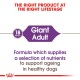 Giant Adult 2x15 kg