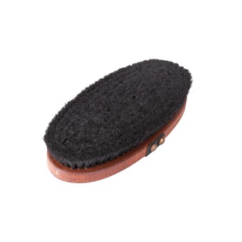 Schwarze Borsten-Haustierpflegebürste mit einem Holzgriff, entworfen für effektive Fellentfernung und Fellpflege.