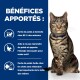 Un chat tigré est assis à droite, avec du texte à gauche énumérant les avantages de la gestion du poids pour les animaux de compagnie, y compris une perte de poids facile et un soutien énergétique.
