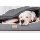 Ein weißer Hund ruht auf einem grauen Hundebett, teilweise mit einer grauen Decke bedeckt, mit einem sichtbaren Lederetikett, das 'tierlando' beschriftet ist.